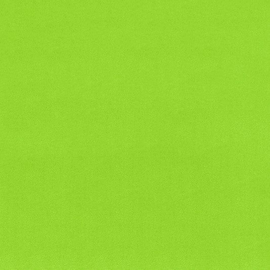 Dark Lime Smooth - Shannon Fabrics Cuddle Minky