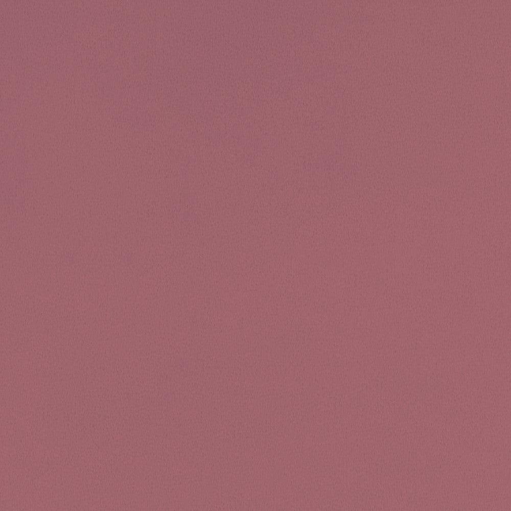 Desert Rose Smooth - Shannon Fabrics Cuddle Minky (c3desertrose)