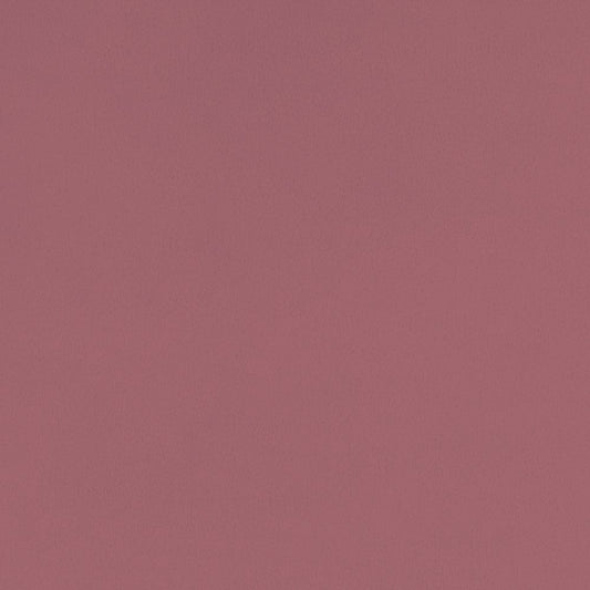 Desert Rose Smooth - Shannon Fabrics Cuddle Minky (c3desertrose)