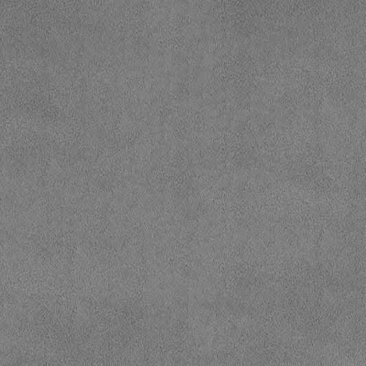 Graphite Smooth - Shannon Fabrics Cuddle Minky