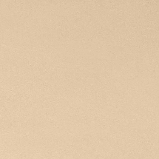 Latte Smooth - Shannon Fabrics Cuddle Minky