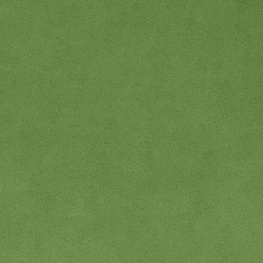 Olive Smooth - Shannon Fabrics Cuddle Minky