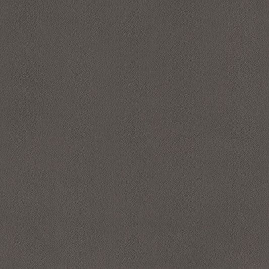 Pewter Smooth - Shannon Fabrics Cuddle Minky (C3-PEWTER)