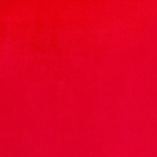 Red Smooth - Shannon Fabrics Cuddle Minky