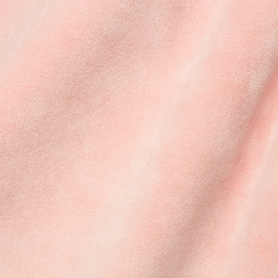 Shell Smooth - Shannon Fabrics Cuddle Minky