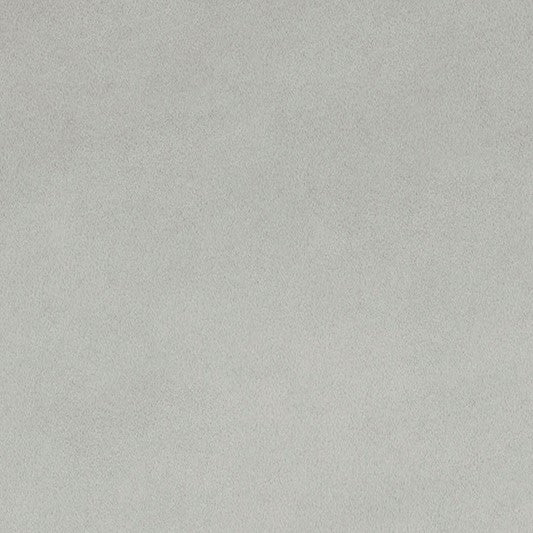 Silver Smooth - Shannon Fabrics Cuddle Minky