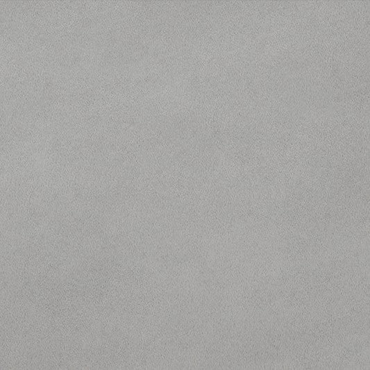 Sterling Smooth - Shannon Fabrics Cuddle Minky