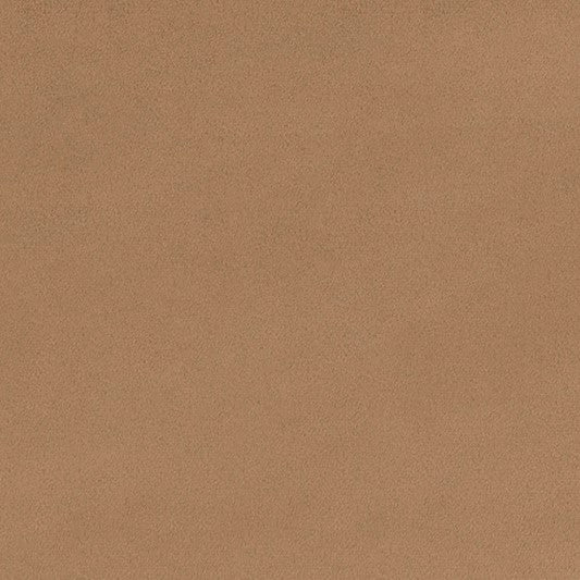 Taupe Smooth - Shannon Fabrics Cuddle Minky