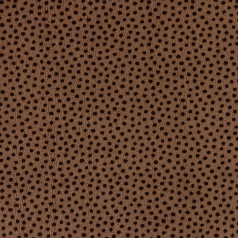 90" Dottie Cocoa - Shannon Fabrics Cuddle Minky