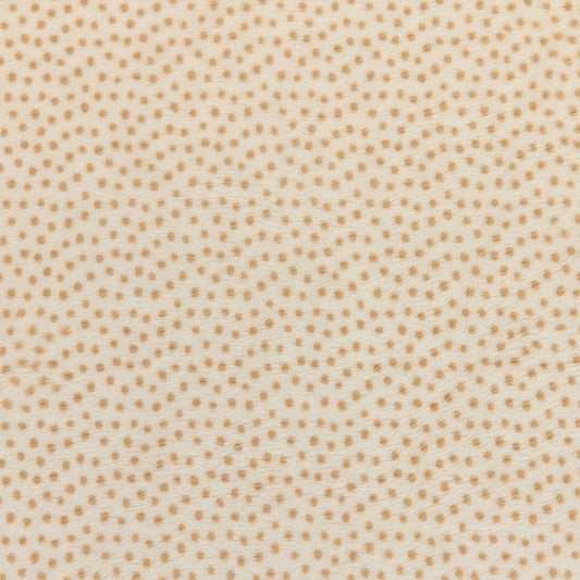 90" Dottie Sand - Shannon Fabrics Cuddle Minky (cp90dottiesand)