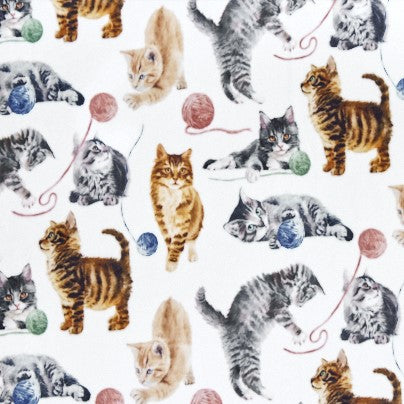 Cat Nip Multi Digital - Shannon Fabrics Cuddle Minky