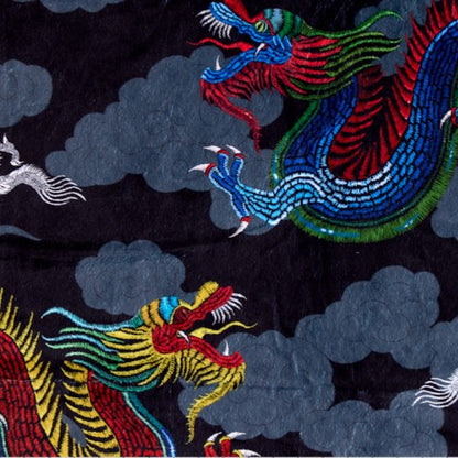 Dragon Nights Black Digital - Shannon Fabrics Cuddle Minky