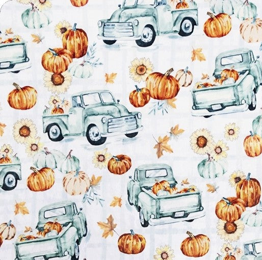 Pumpkin Farm Spearmint Digital - Shannon Fabrics Cuddle Minky (dcpumpfarm)