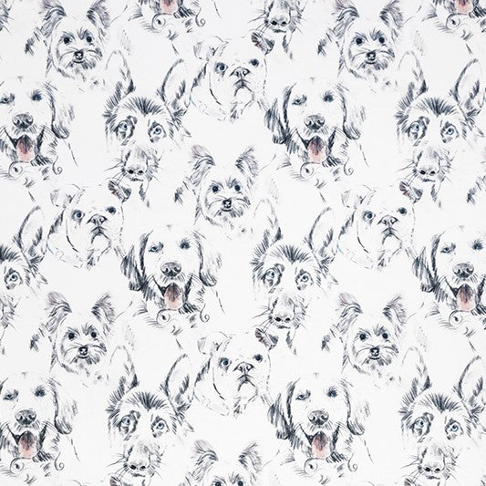 What Up Dawg Digital - Shannon Fabrics Cuddle Minky