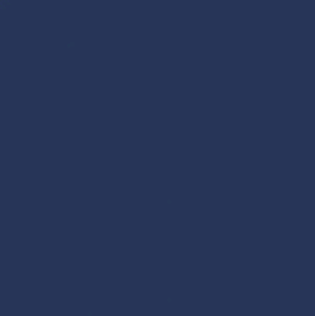 Navy - Fresh Solids - Camelot Cotton
