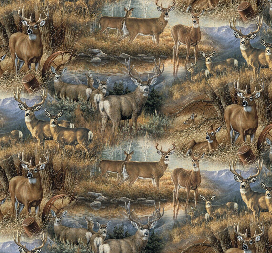 Deer Glance - Springs Creative Cotton
