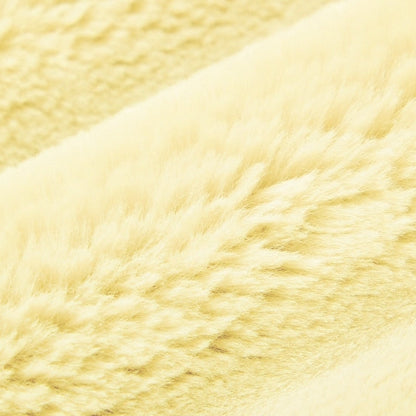 Butter Bunny - Shannon Fabrics Cuddle Minky
