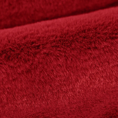 Cardinal Luxe Encore - Shannon Fabrics Cuddle Minky