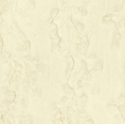 Ivory Glacier - Shannon Fabrics Cuddle Minky (LCGLACIERIVORY)