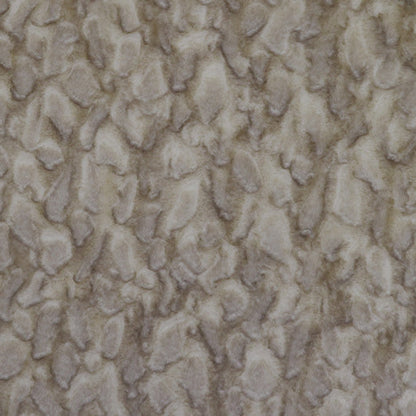 Sand Dollar Glazed Tuscany - Shannon Fabrics Cuddle Minky
