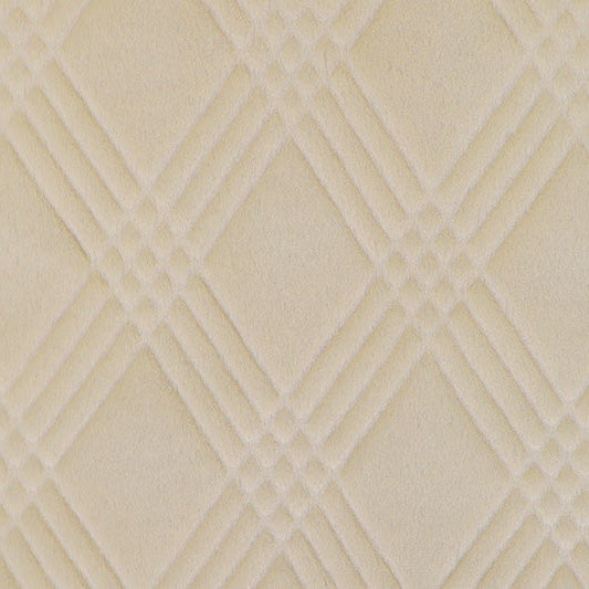 Beige Quinn - Shannon Fabrics Cuddle Minky