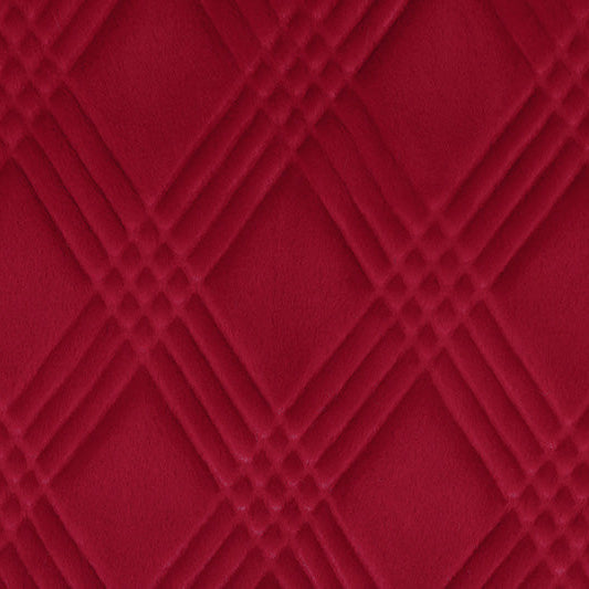 Cardinal Quinn - Shannon Fabrics Cuddle Minky