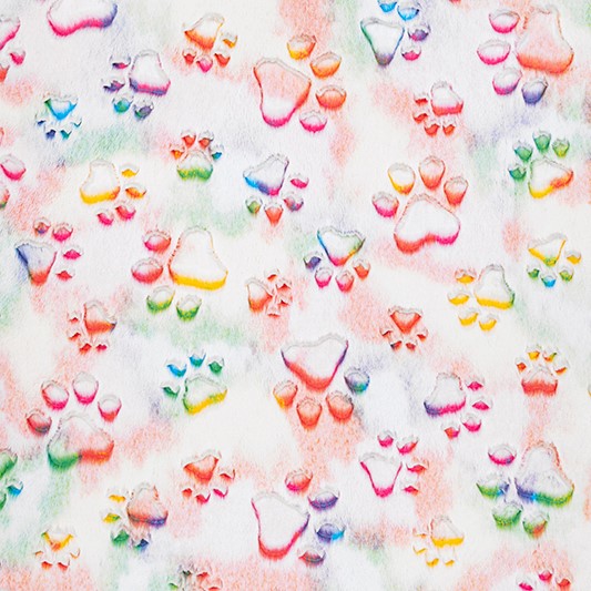 Vibrant Prism Paws Luxe - Shannon Fabrics Cuddle Minky