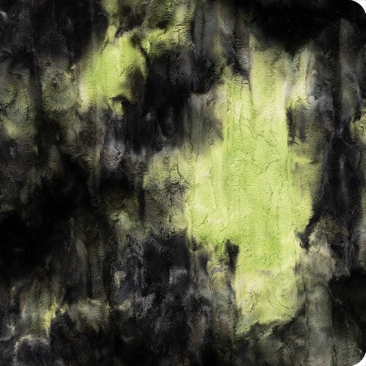 Beetle Sorbet Luxe - Shannon Fabrics Cuddle Minky (lcsorbetlebeetle)