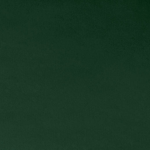 Forest Marshmallow Cuddle - Shannon Fabrics