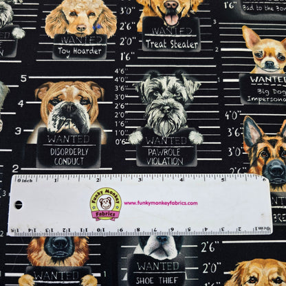 Black Dog Mugshots - Timeless Treasures Cotton