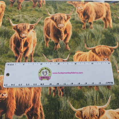 Highland Cows - KK Fabrics Cotton